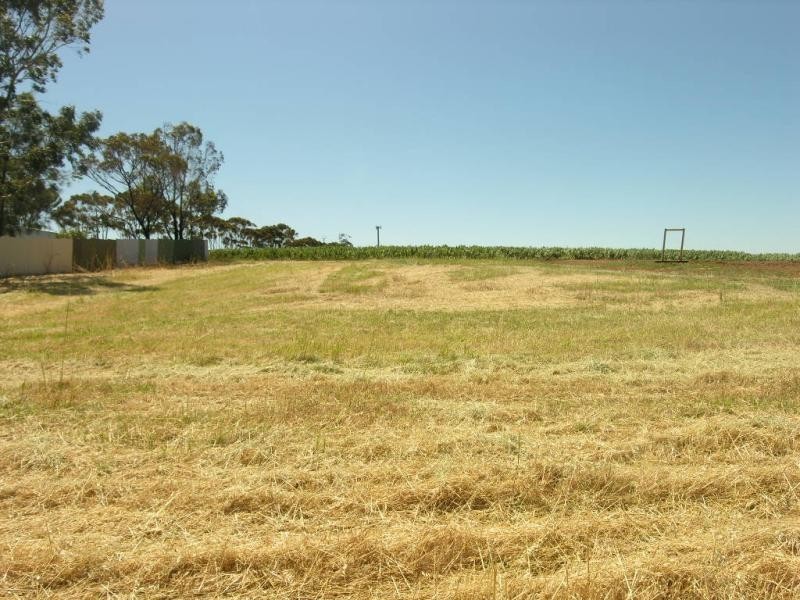 Lot 512 & 513 Malcolm Street, Hamley Bridge SA 5401