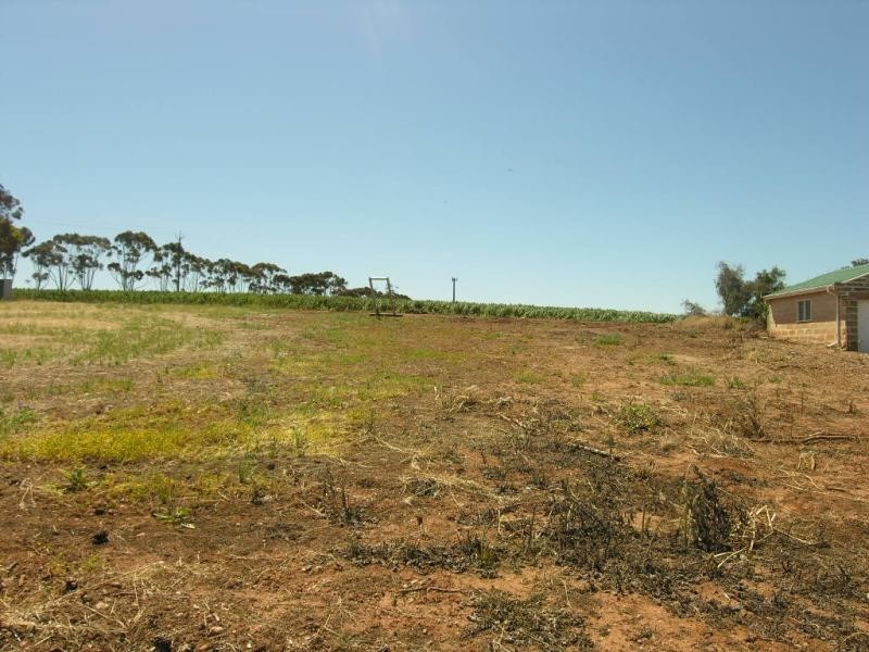 Lot 512 & 513 Malcolm Street, Hamley Bridge SA 5401