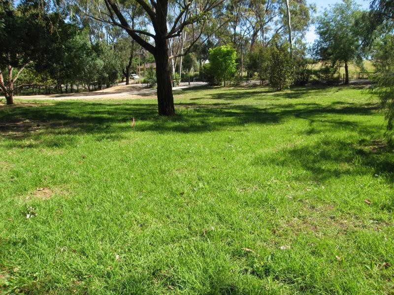 501 Yettie Road, Williamstown SA 5351