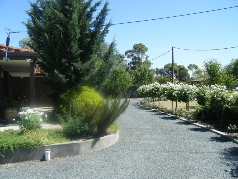 14 Mattiske Street, Freeling SA 5372