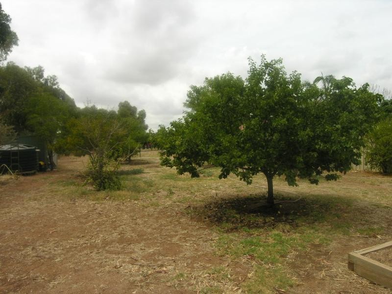 56 Barkley Drive, Gawler Belt SA 5118