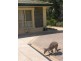 22 Whiteman Road, Williamstown SA 5351
