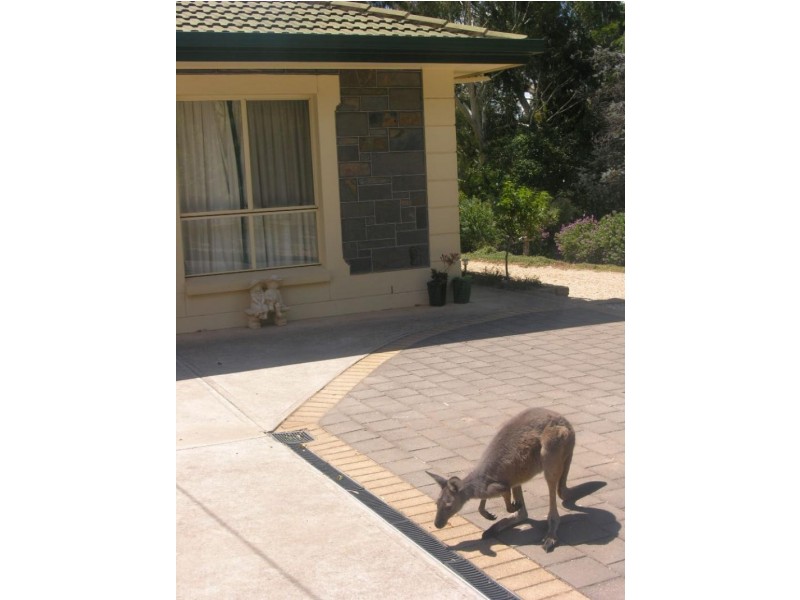 22 Whiteman Road, Williamstown SA 5351