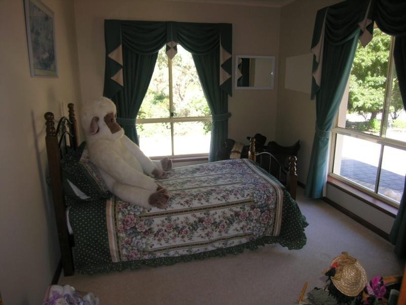 22 Whiteman Road, Williamstown SA 5351