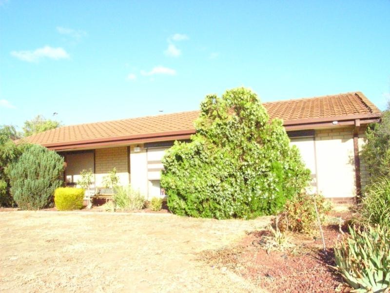 43 Carabeen Crescent, Andrews Farm SA 5114