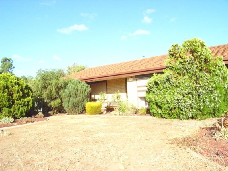 43 Carabeen Crescent, Andrews Farm SA 5114