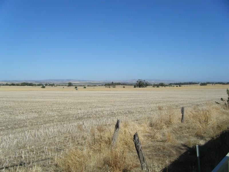 50 Schuster Street, Freeling SA 5372