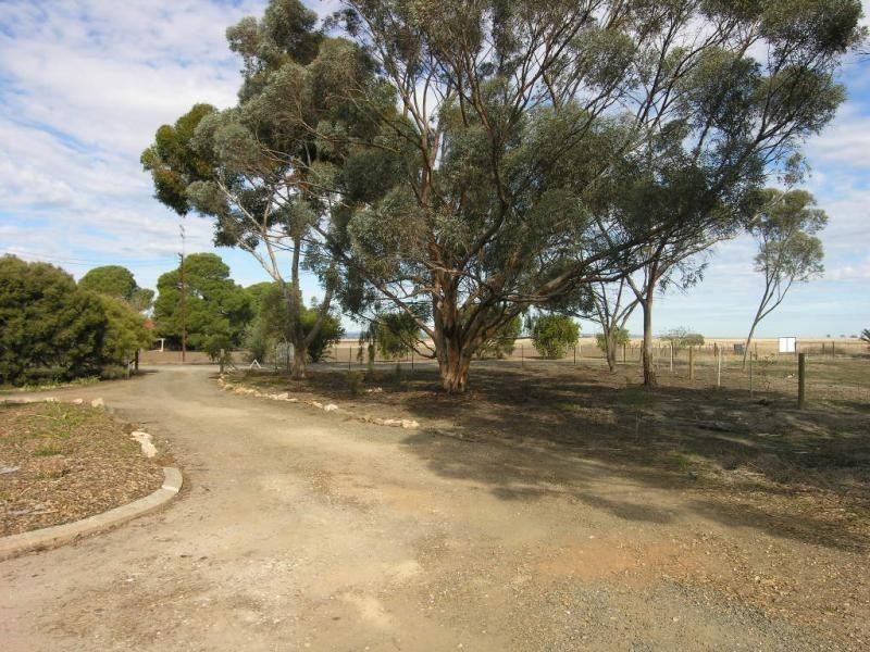 Lot 100 Schaefer Street, Freeling SA 5372