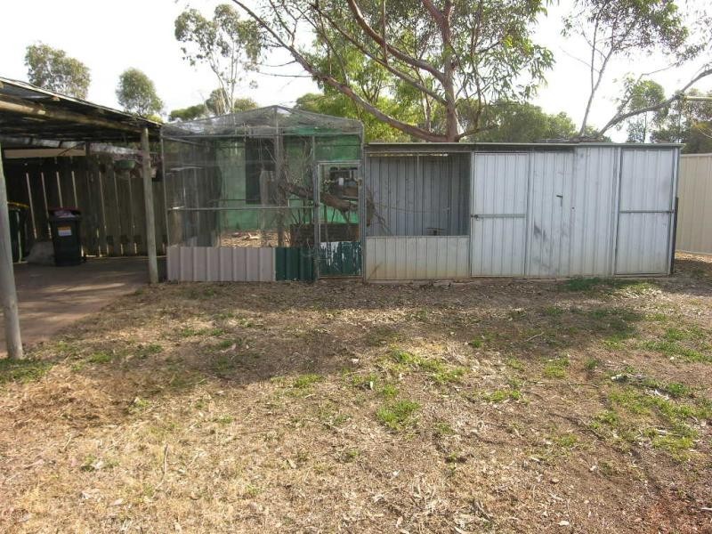 Lot 100 Schaefer Street, Freeling SA 5372