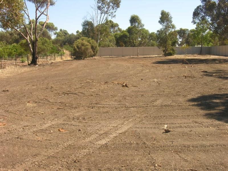 Lot 102 Schaefer Street, Freeling SA 5372