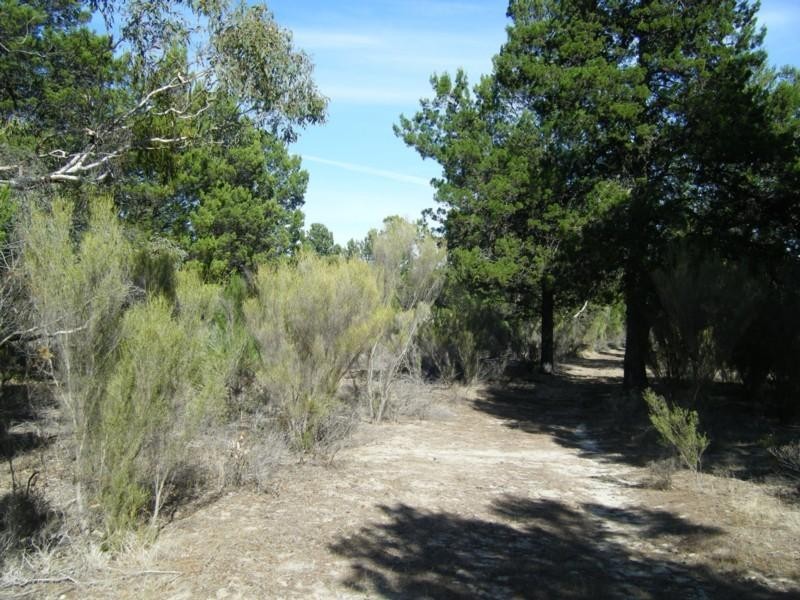 Section 69 Cockatoo Lane, Sandy Creek SA 5350