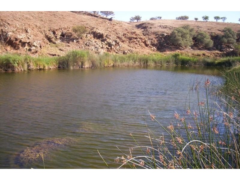 Lot 144 South Street, Hamley Bridge SA 5401