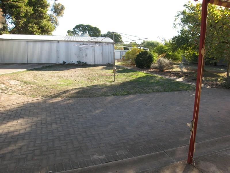 16 Rogers Street, Freeling SA 5372