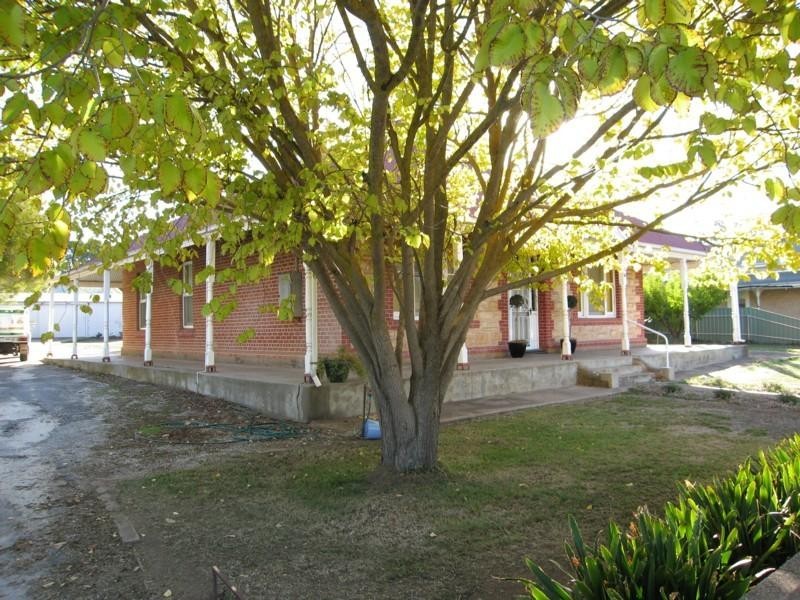 16 Rogers Street, Freeling SA 5372