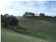 Lot 50 Speck Road, Cockatoo Valley SA 5351