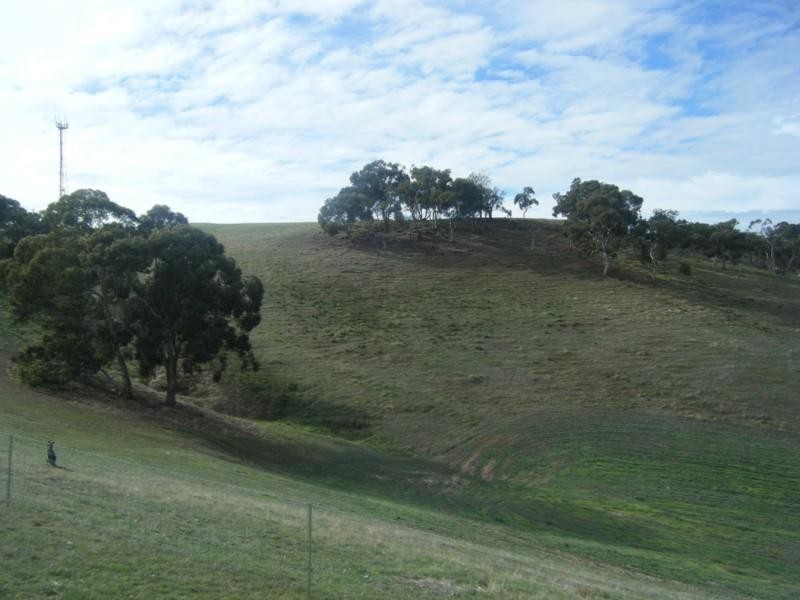 Lot 50 Speck Road, Cockatoo Valley SA 5351