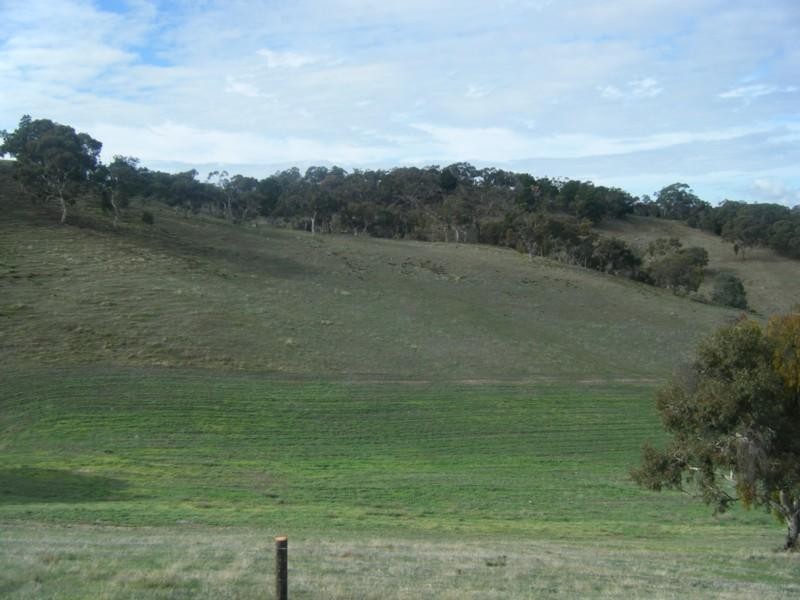 Lot 50 Speck Road, Cockatoo Valley SA 5351
