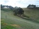 Lot 50 Speck Road, Cockatoo Valley SA 5351