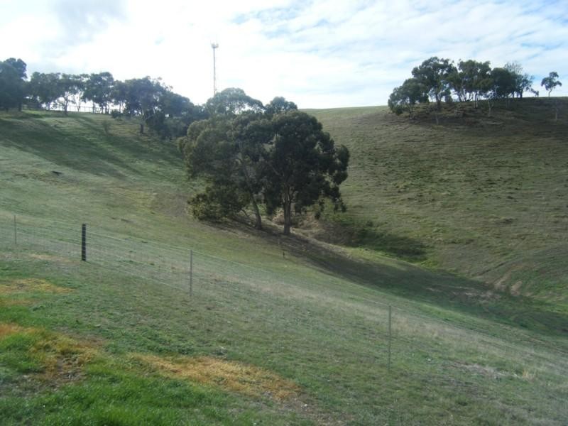 Lot 50 Speck Road, Cockatoo Valley SA 5351