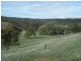 Lot 50 Speck Road, Cockatoo Valley SA 5351