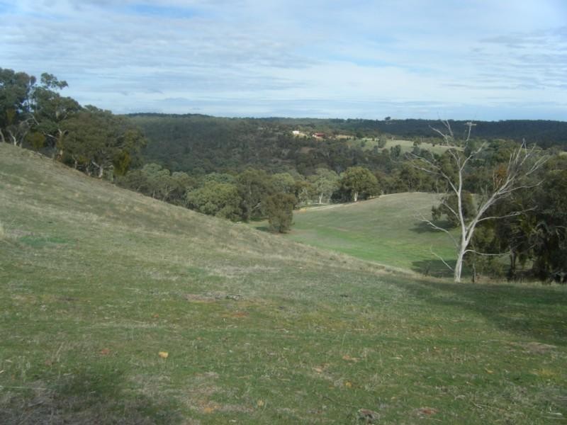 Lot 50 Speck Road, Cockatoo Valley SA 5351