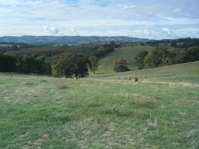 Lot 50 Speck Road, Cockatoo Valley SA 5351