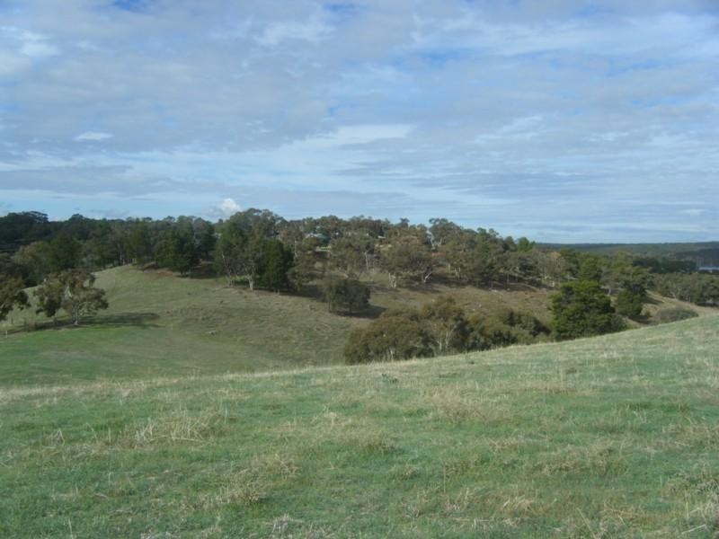 Lot 50 Speck Road, Cockatoo Valley SA 5351