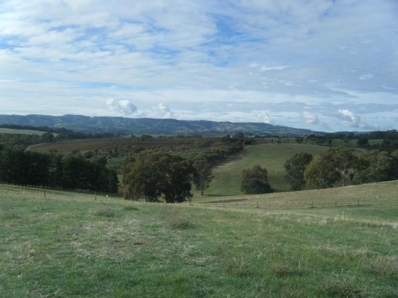 Lot 50 Speck Road, Cockatoo Valley SA 5351