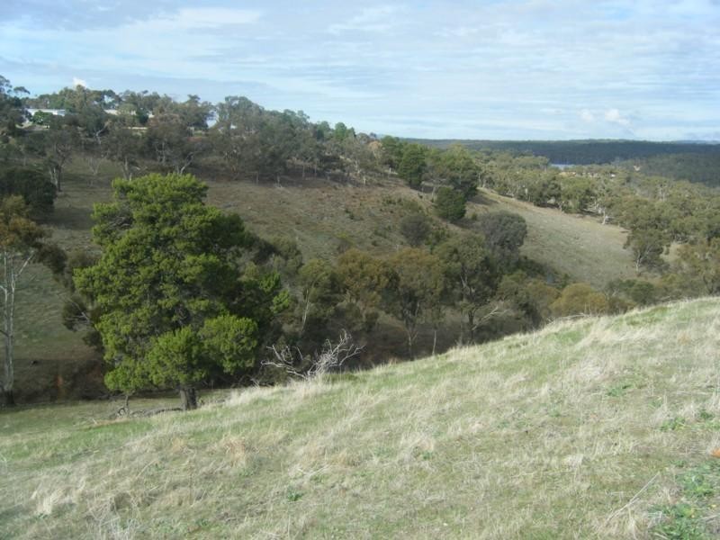 Lot 50 Speck Road, Cockatoo Valley SA 5351