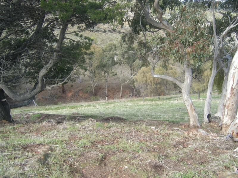 Lot 50 Speck Road, Cockatoo Valley SA 5351