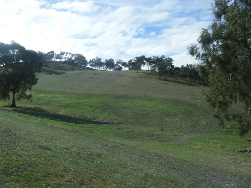 Lot 50 Speck Road, Cockatoo Valley SA 5351