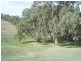 Lot 50 Speck Road, Cockatoo Valley SA 5351