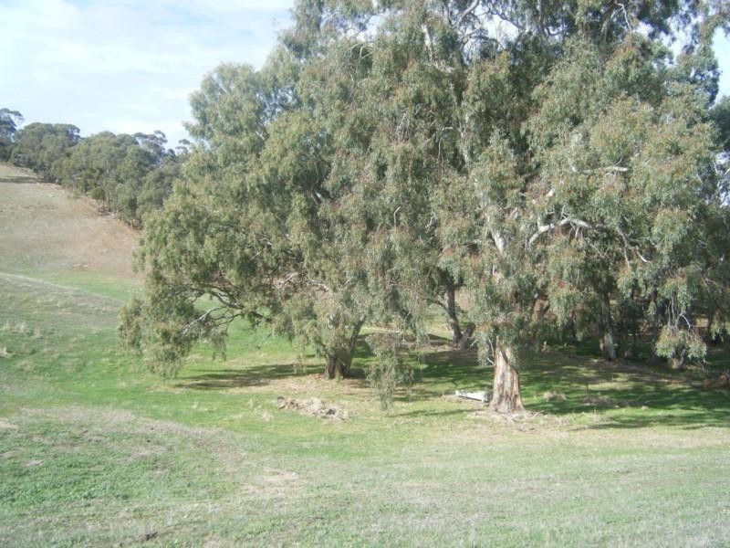 Lot 50 Speck Road, Cockatoo Valley SA 5351