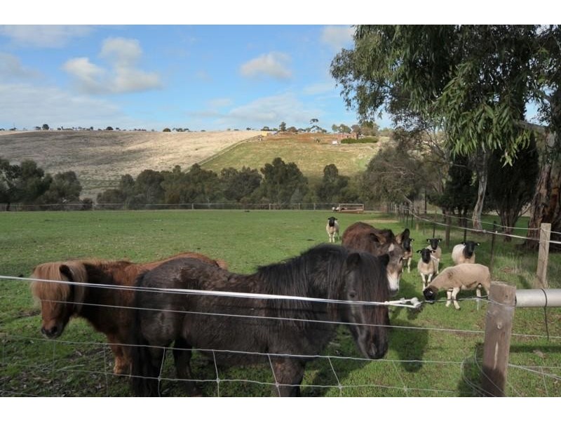 6 Chapman Drive, Uleybury SA 5114