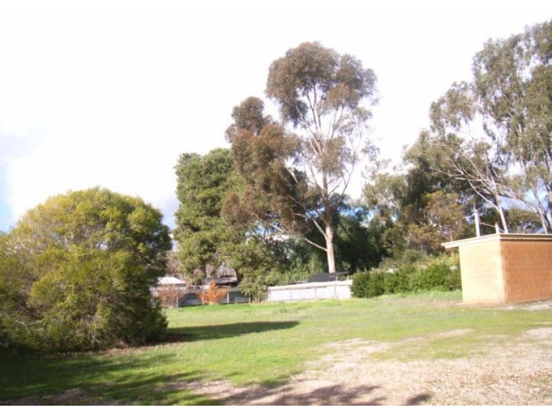 19 Clarke Street, Freeling SA 5372