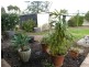 24 Gartrell Street, Roseworthy SA 5371