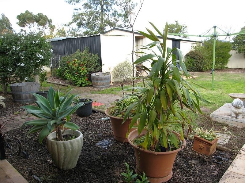 24 Gartrell Street, Roseworthy SA 5371