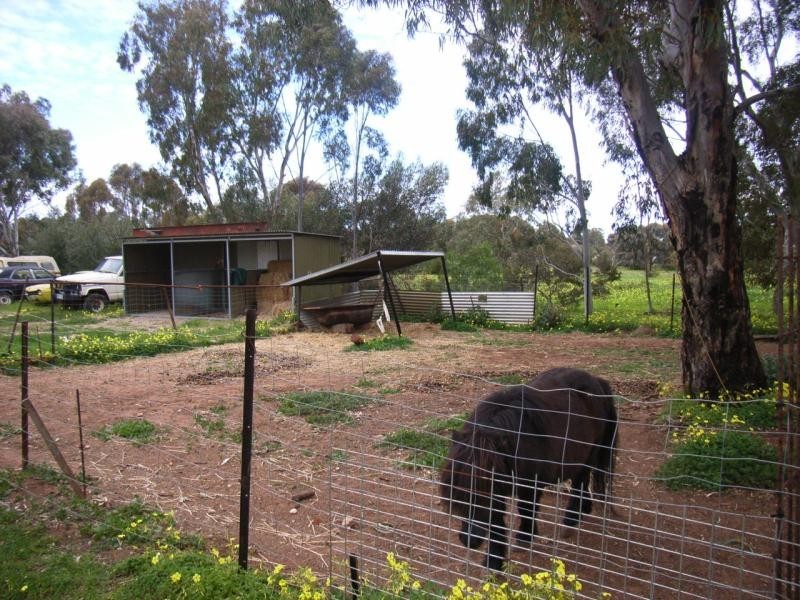 46 Aunger Road, Lewiston SA 5501