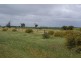 Lot 31 , 32, 33 Wasleys Road, Wasleys SA 5400