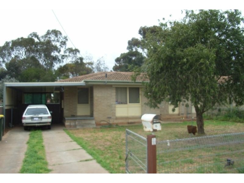 6 Bacton Street, Evanston SA 5116