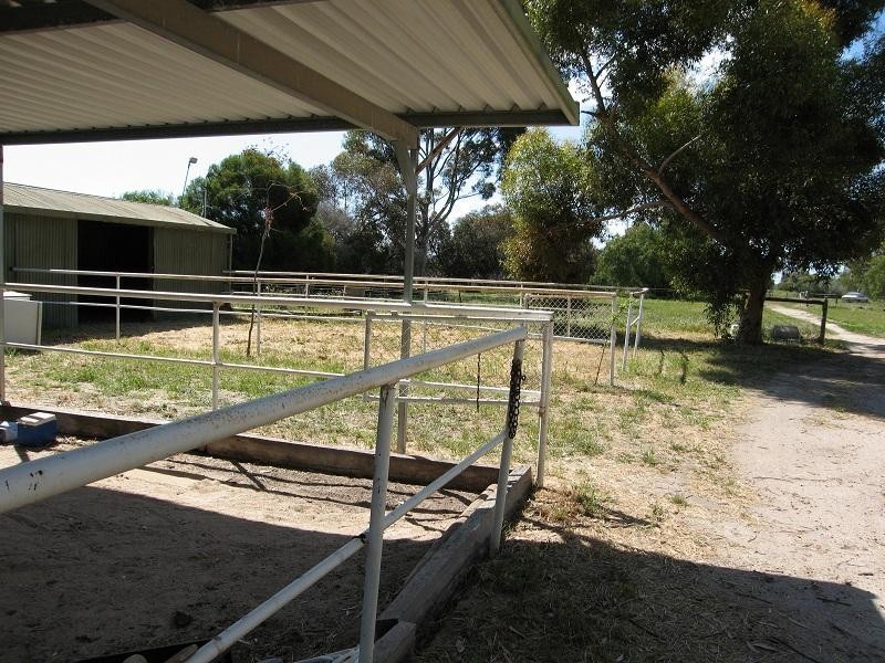 51 Dawkins Road, Two Wells SA 5501