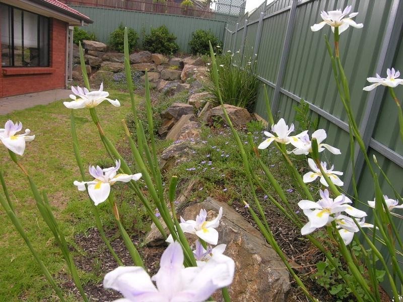 69 Kingfisher Drive, Hewett SA 5118