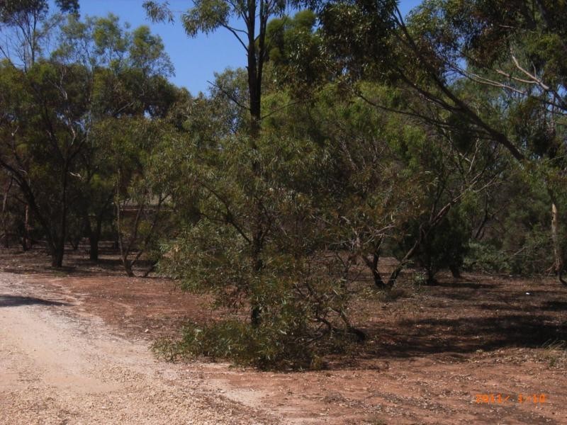Lot 5 Edward Road, Gawler Belt SA 5118