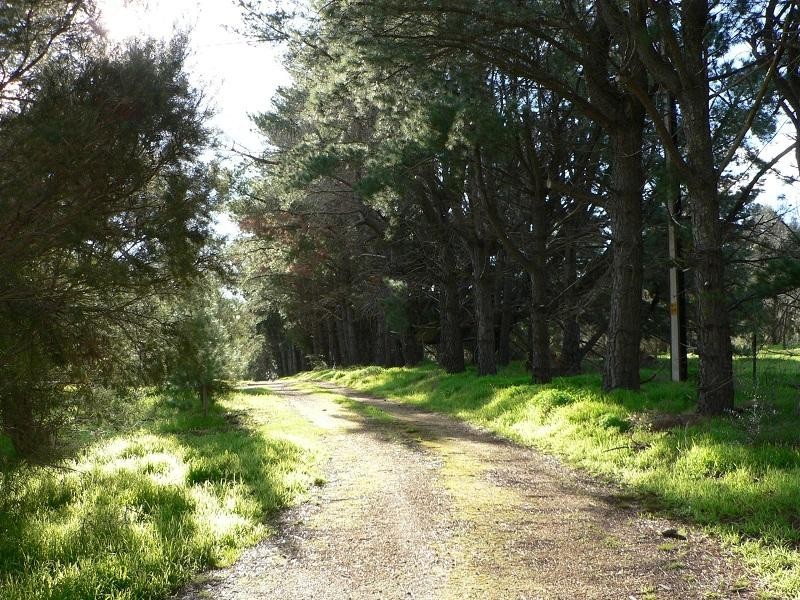 Lot 13 Needles Road, Williamstown SA 5351