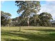 Lot 13 Needles Road, Williamstown SA 5351
