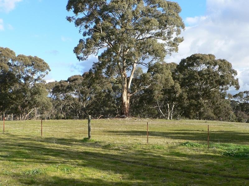 Lot 13 Needles Road, Williamstown SA 5351