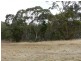 Lot 13 Needles Road, Williamstown SA 5351