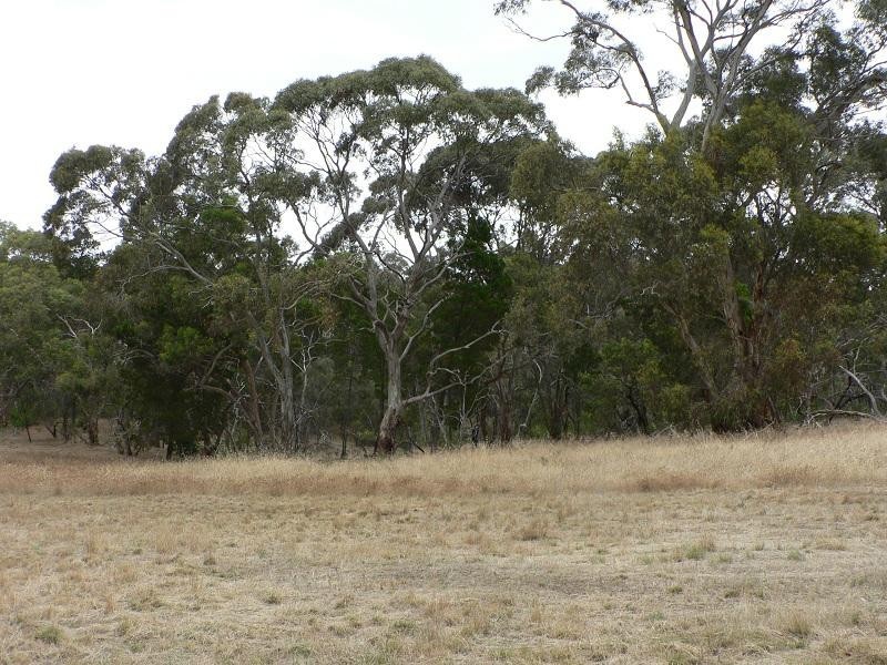Lot 13 Needles Road, Williamstown SA 5351