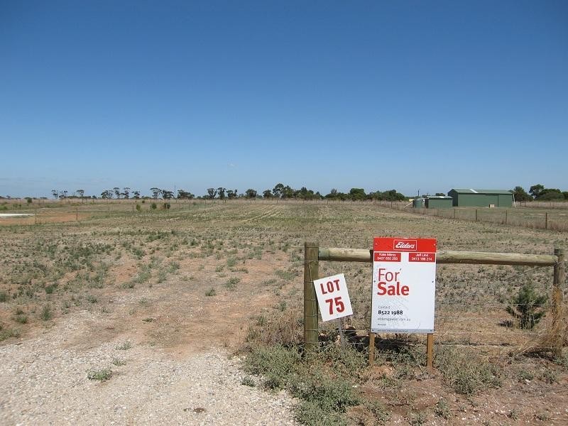 Lot 75 Ashwell Road, Wasleys SA 5400