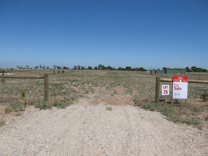 Lot 75 Ashwell Road, Wasleys SA 5400